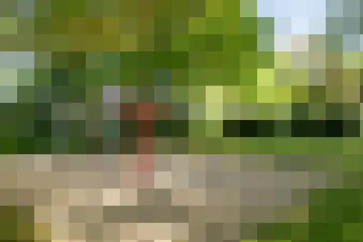 Oude Pastorieweg 50 Berlicum thumbnail 54