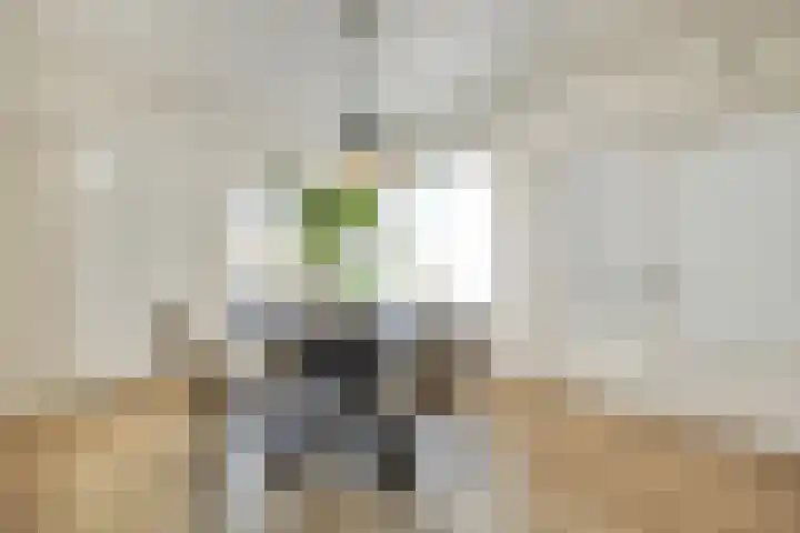 Oude Pastorieweg 50 Berlicum thumbnail 8