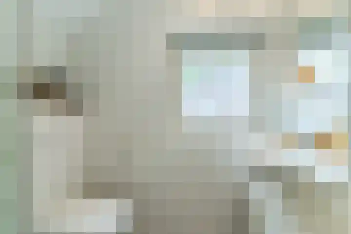 Oude Peelstraat 16 Helenaveen thumbnail 34