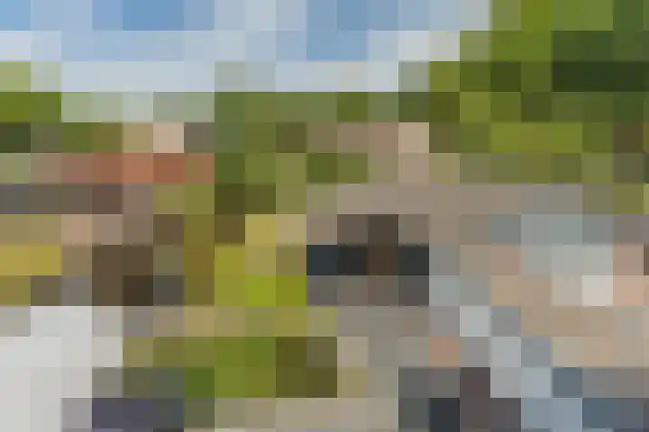 Oude Peelstraat 16 Helenaveen thumbnail 37