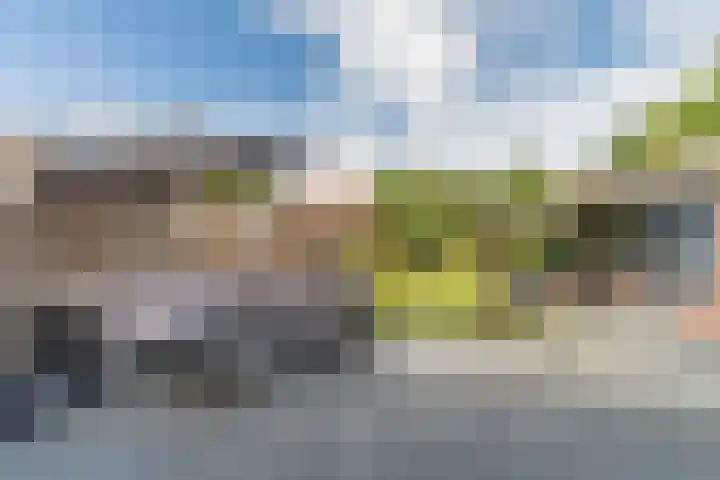 Oude Peelstraat 16 Helenaveen thumbnail 39