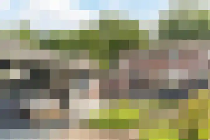 Oude Peelstraat 16 Helenaveen thumbnail 50