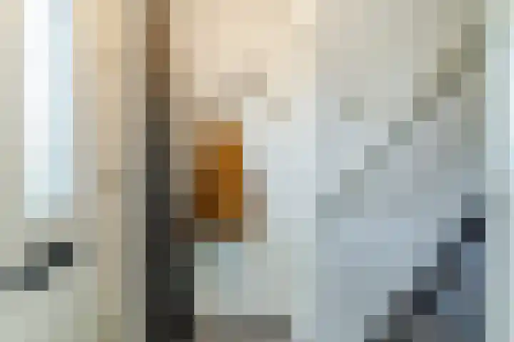 Oude Peelstraat 16 Helenaveen thumbnail 6