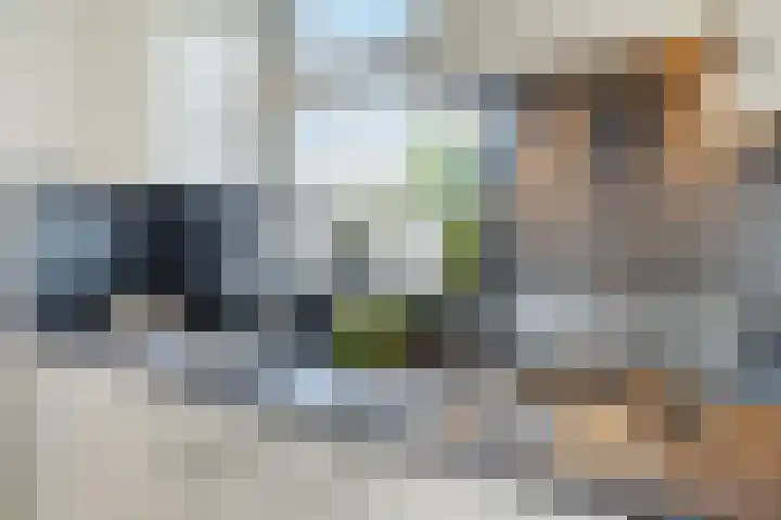 Oude Peelstraat 16 Helenaveen thumbnail 9