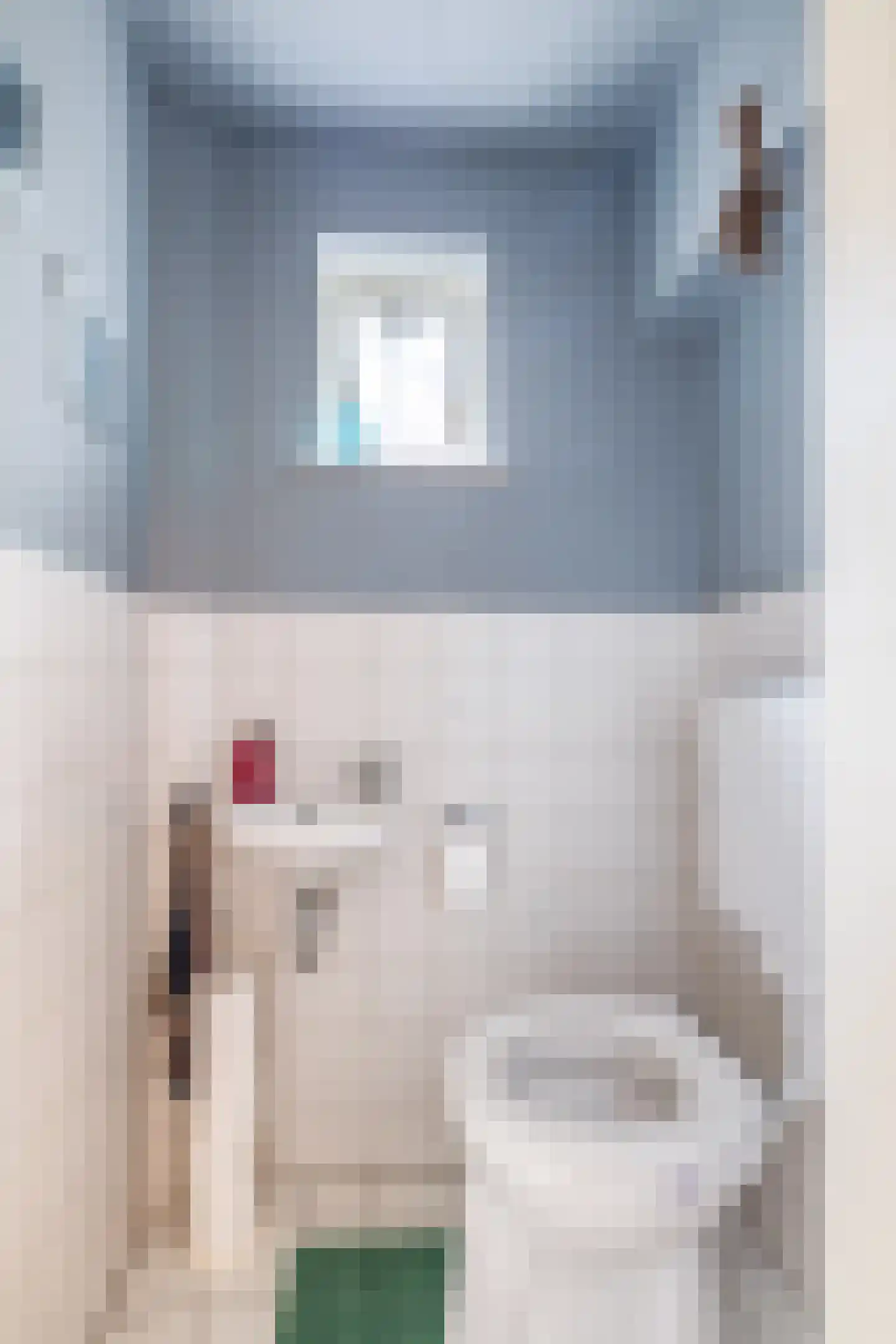 Oude Peelstraat 24 Helenaveen thumbnail 15