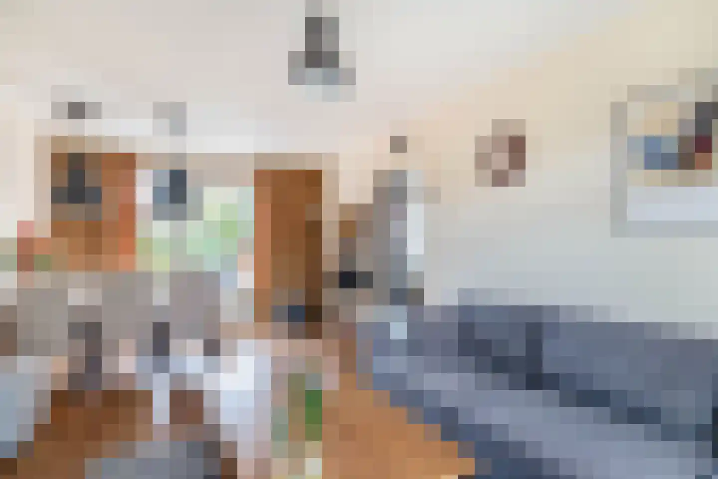 Oude Peelstraat 24 Helenaveen thumbnail 18