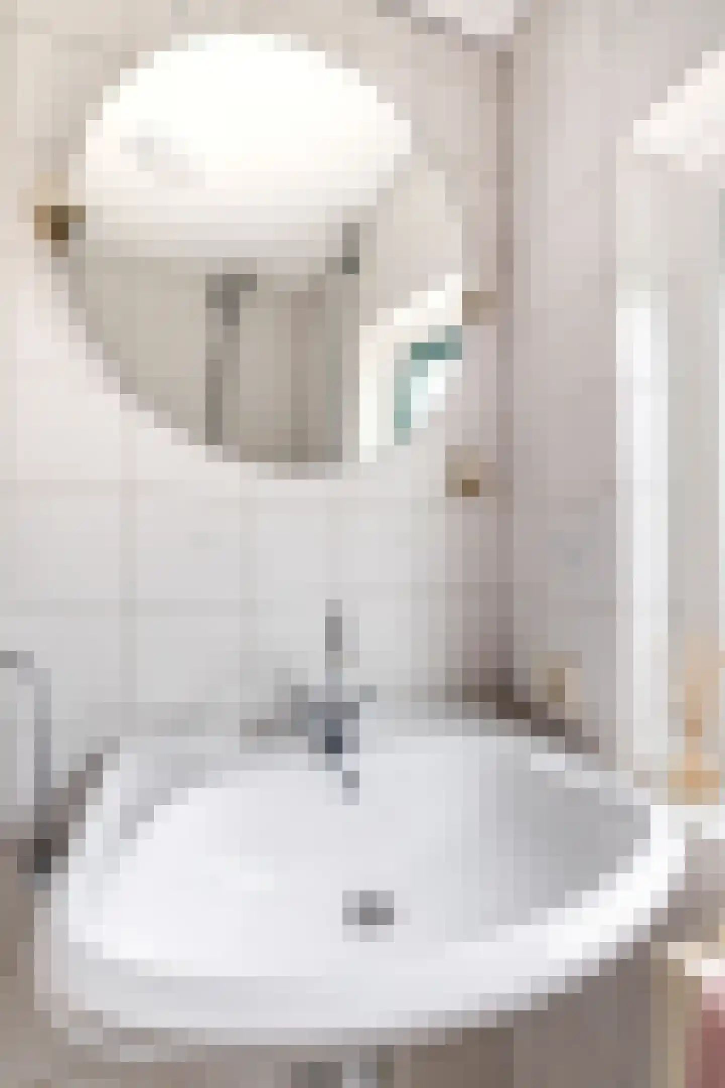 Oude Peelstraat 24 Helenaveen thumbnail 38