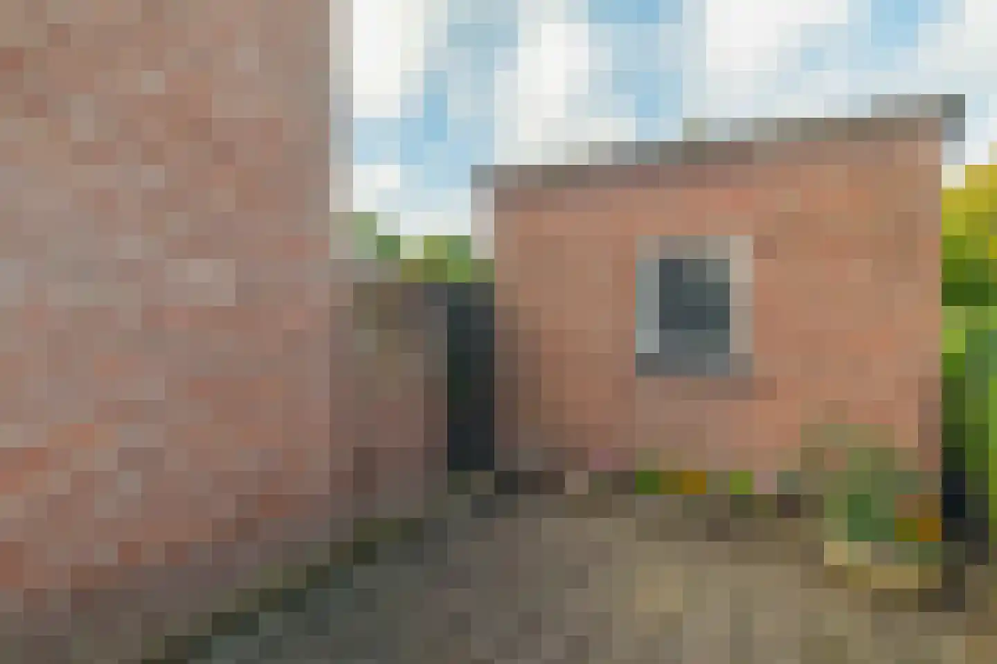 Oude Peelstraat 24 Helenaveen thumbnail 51
