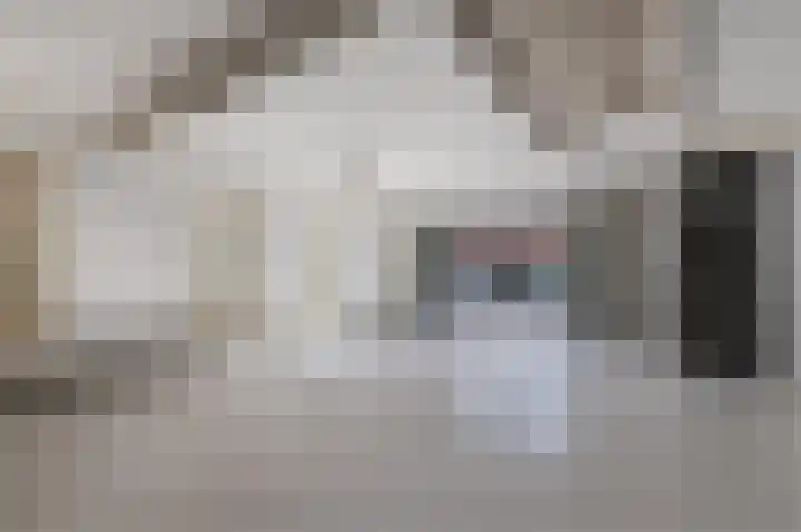 Oude Pijlsweerdstraat 1 Utrecht thumbnail 8