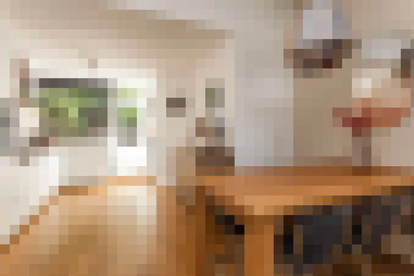 Oude Pijlsweerdstraat 34 Utrecht thumbnail 15