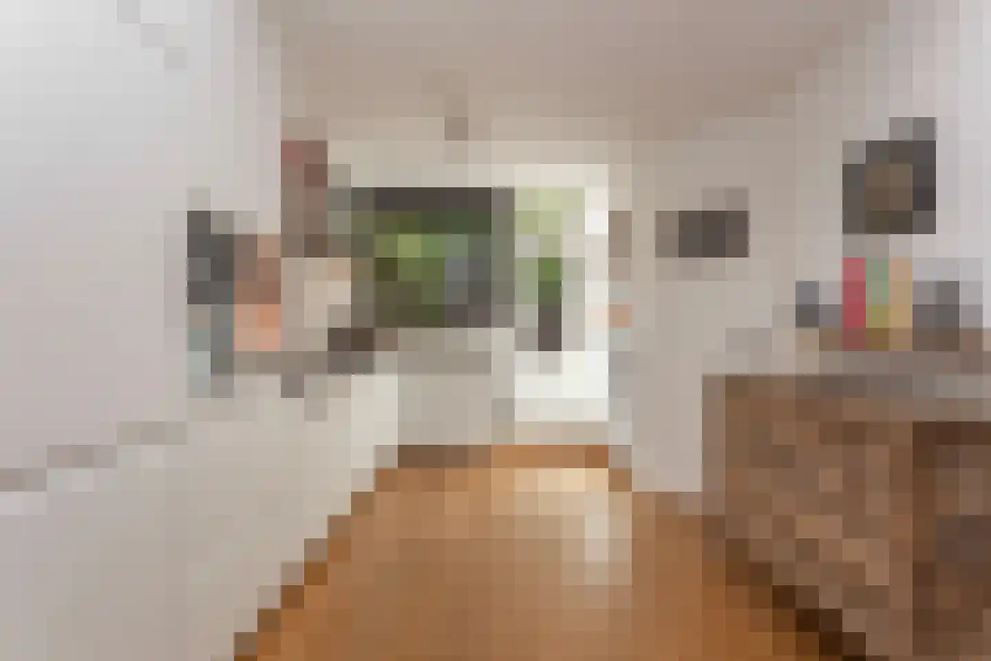 Oude Pijlsweerdstraat 34 Utrecht thumbnail 17