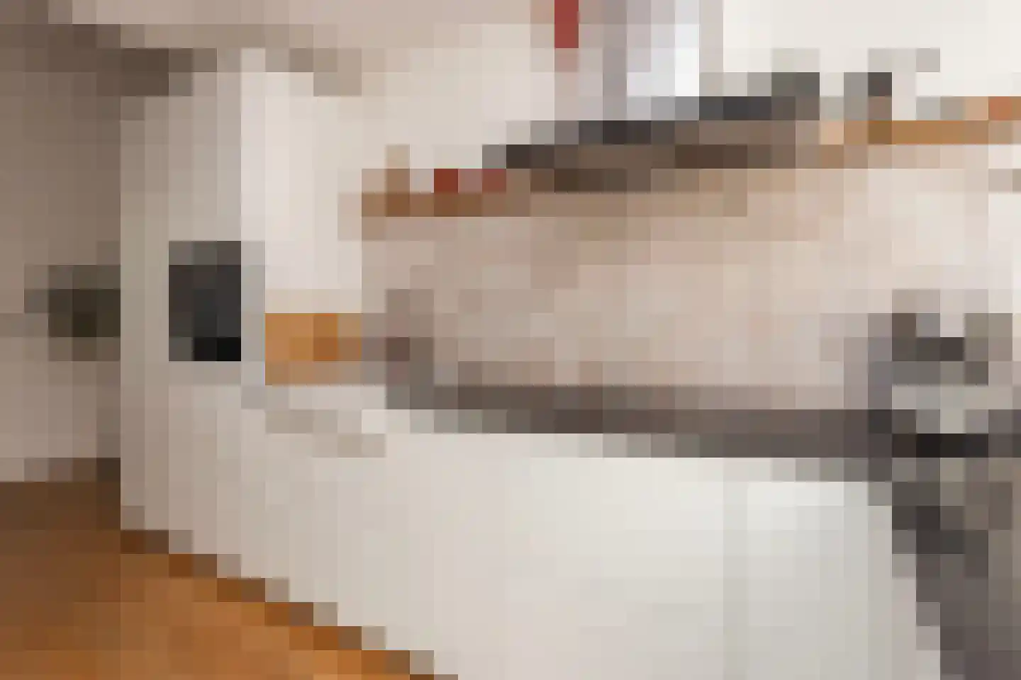 Oude Pijlsweerdstraat 34 Utrecht thumbnail 19