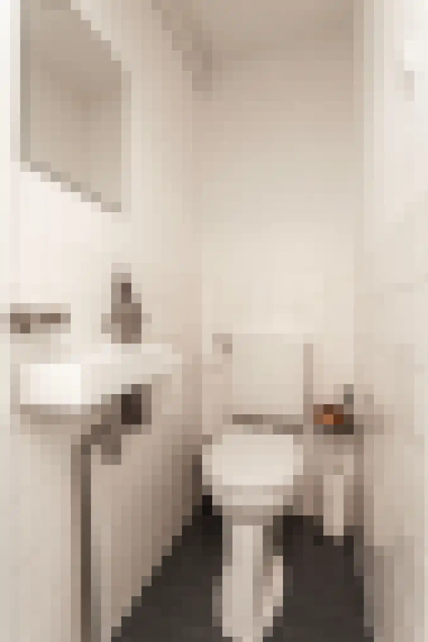 Oude Pijlsweerdstraat 34 Utrecht thumbnail 22