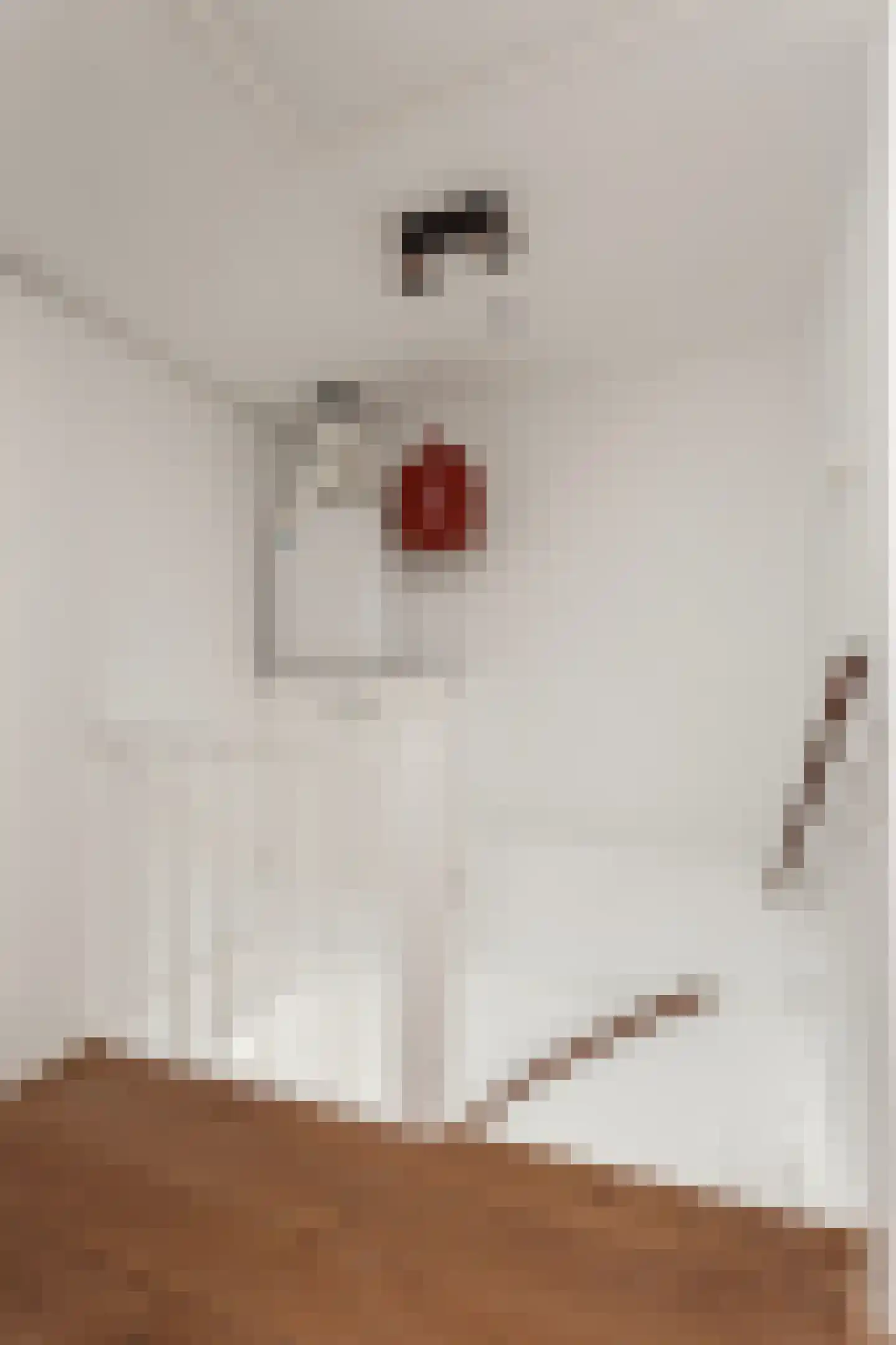 Oude Pijlsweerdstraat 34 Utrecht thumbnail 29