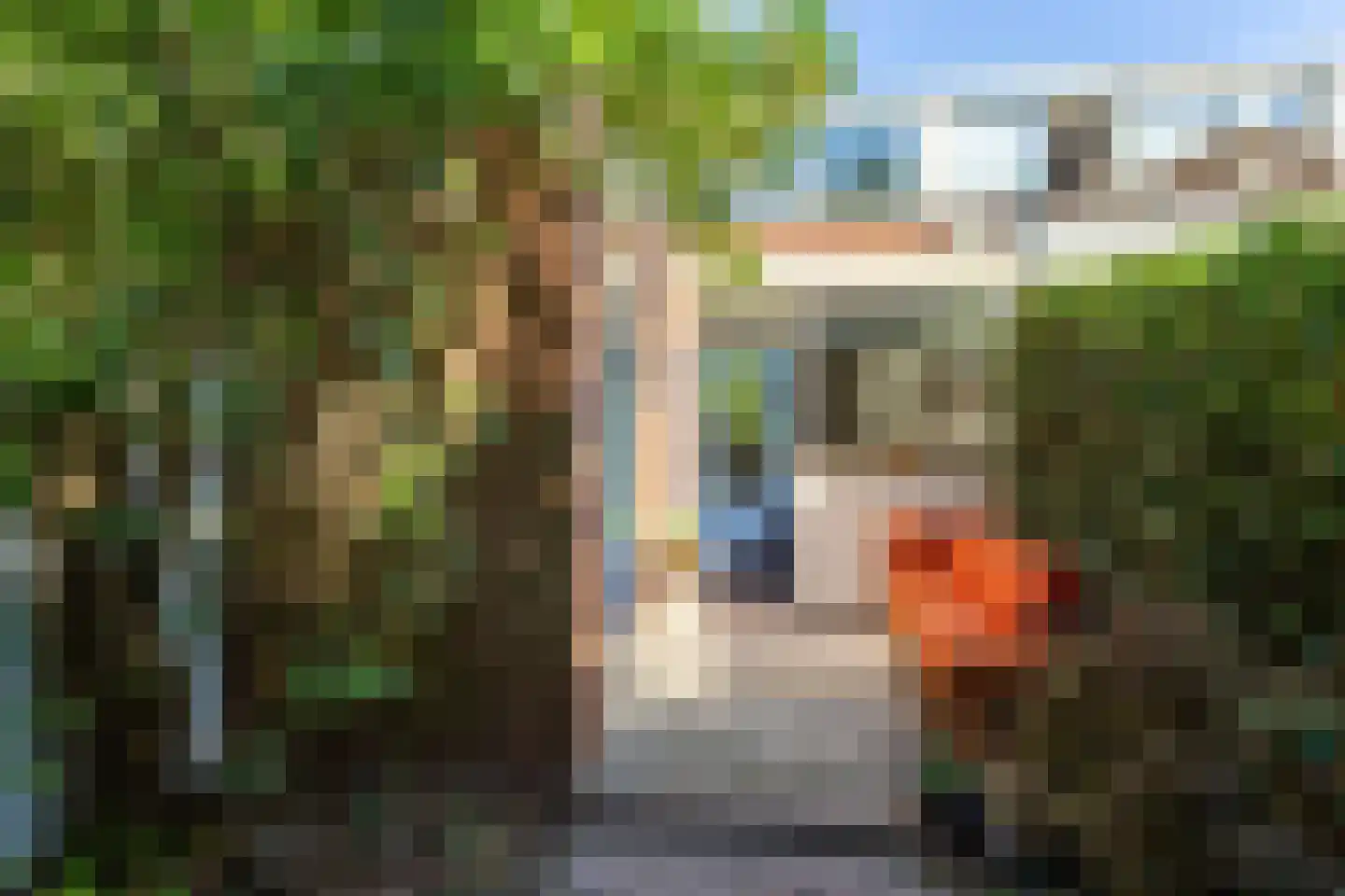 Oude Pijlsweerdstraat 34 Utrecht thumbnail 6