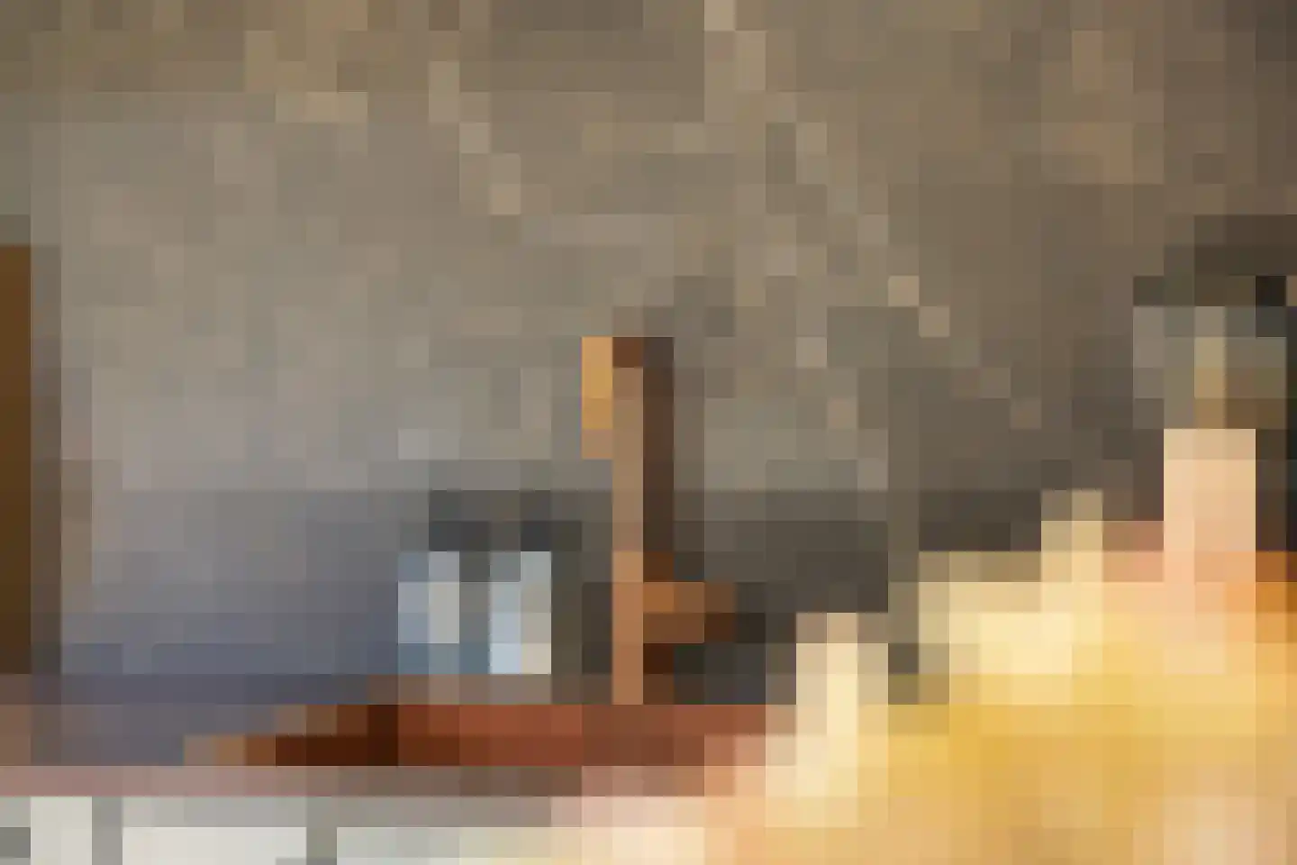 Oude Polderstraat 1 A Hulst thumbnail 13