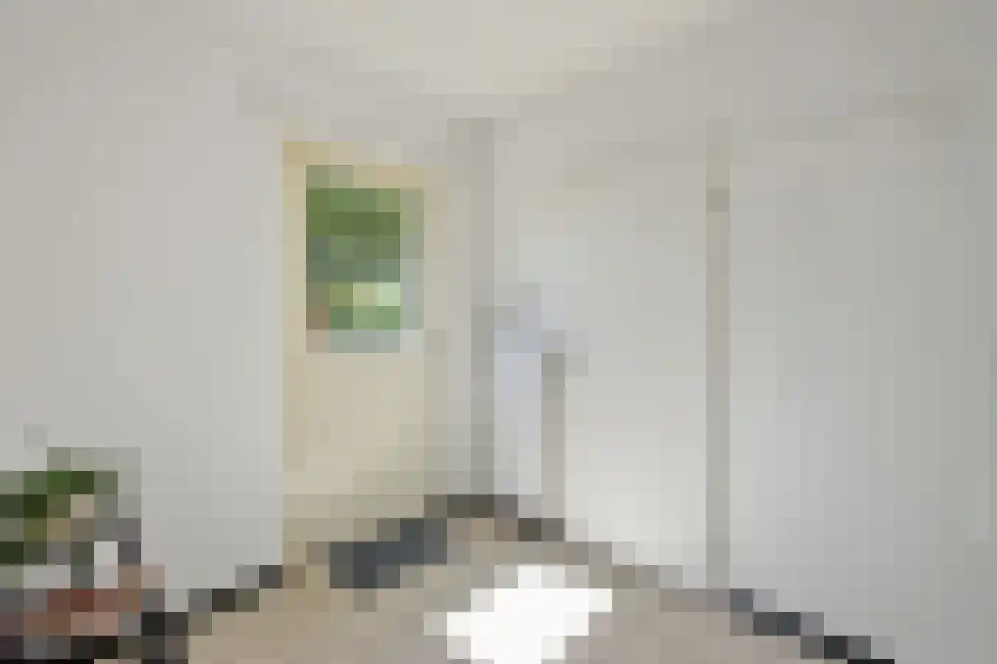 Oude Polderstraat 1 A Hulst thumbnail 17