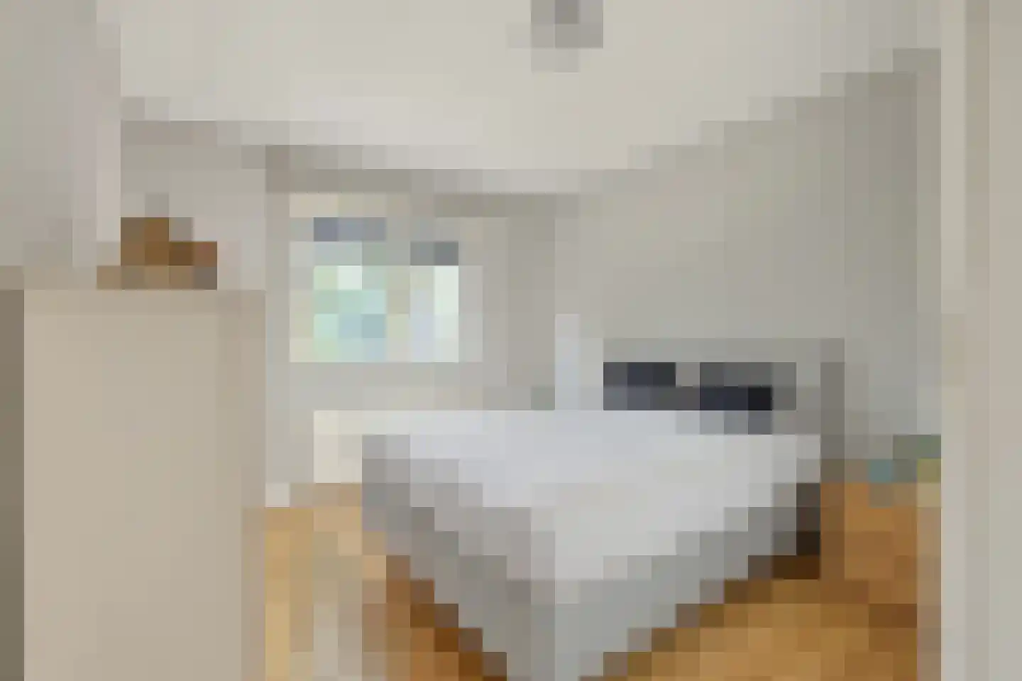 Oude Polderstraat 1 A Hulst thumbnail 19