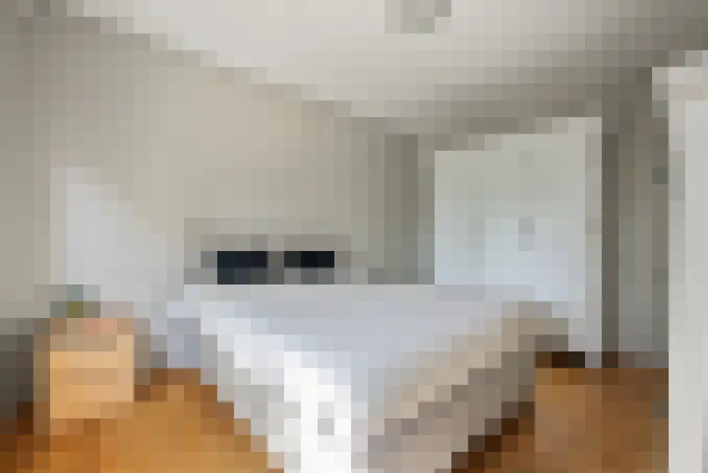Oude Polderstraat 1 A Hulst thumbnail 20