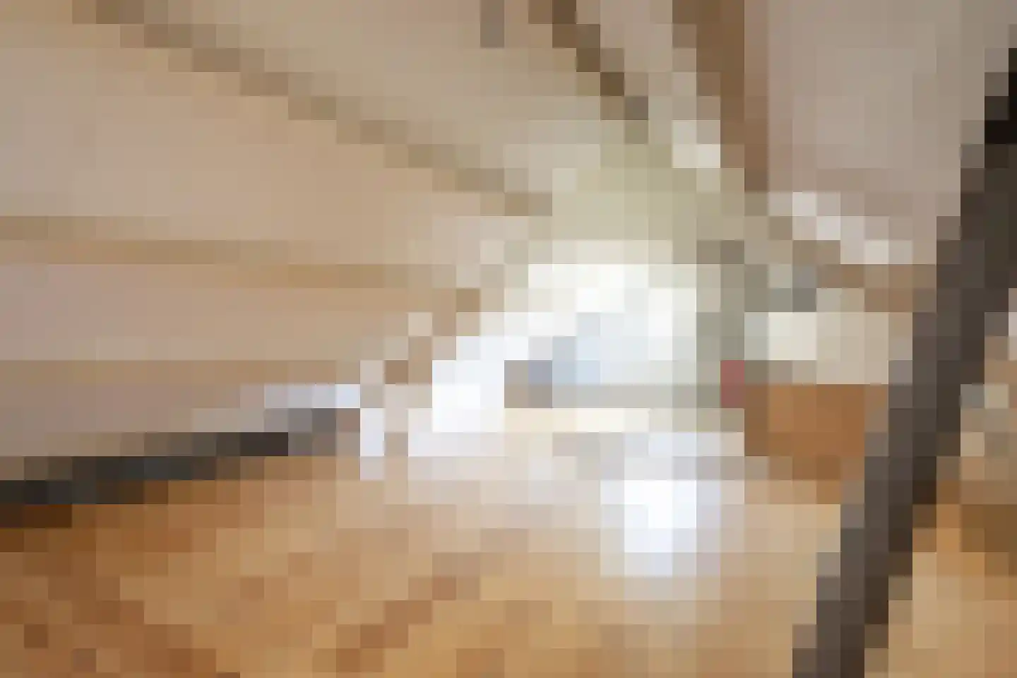 Oude Polderstraat 1 A Hulst thumbnail 25