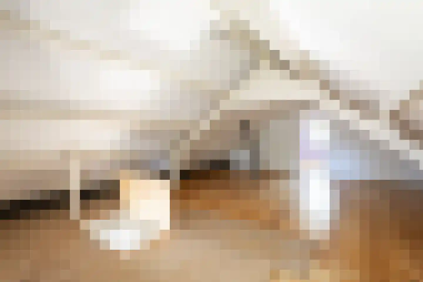 Oude Polderstraat 1 A Hulst thumbnail 29