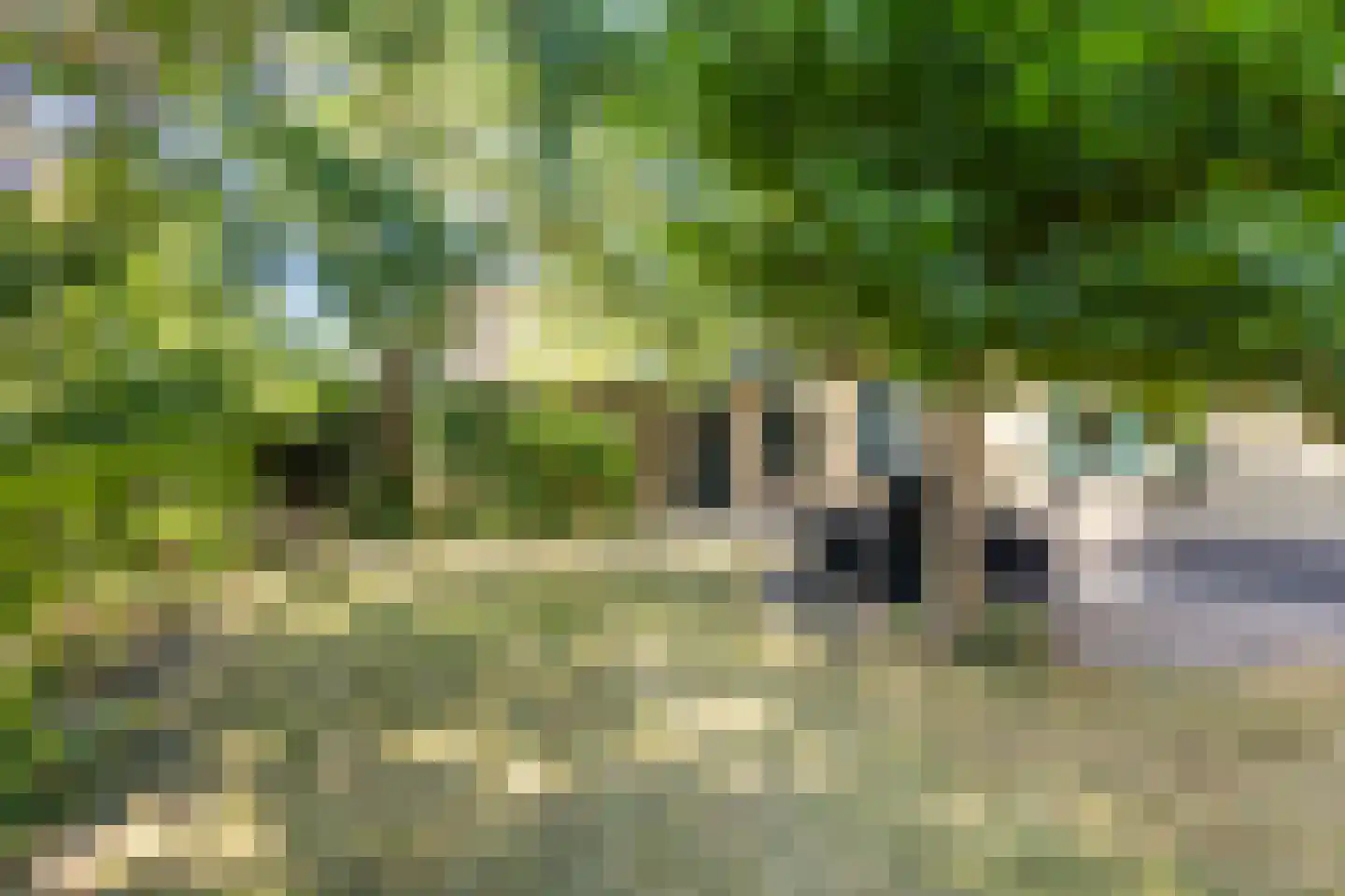 Oude Polderstraat 1 A Hulst thumbnail 31