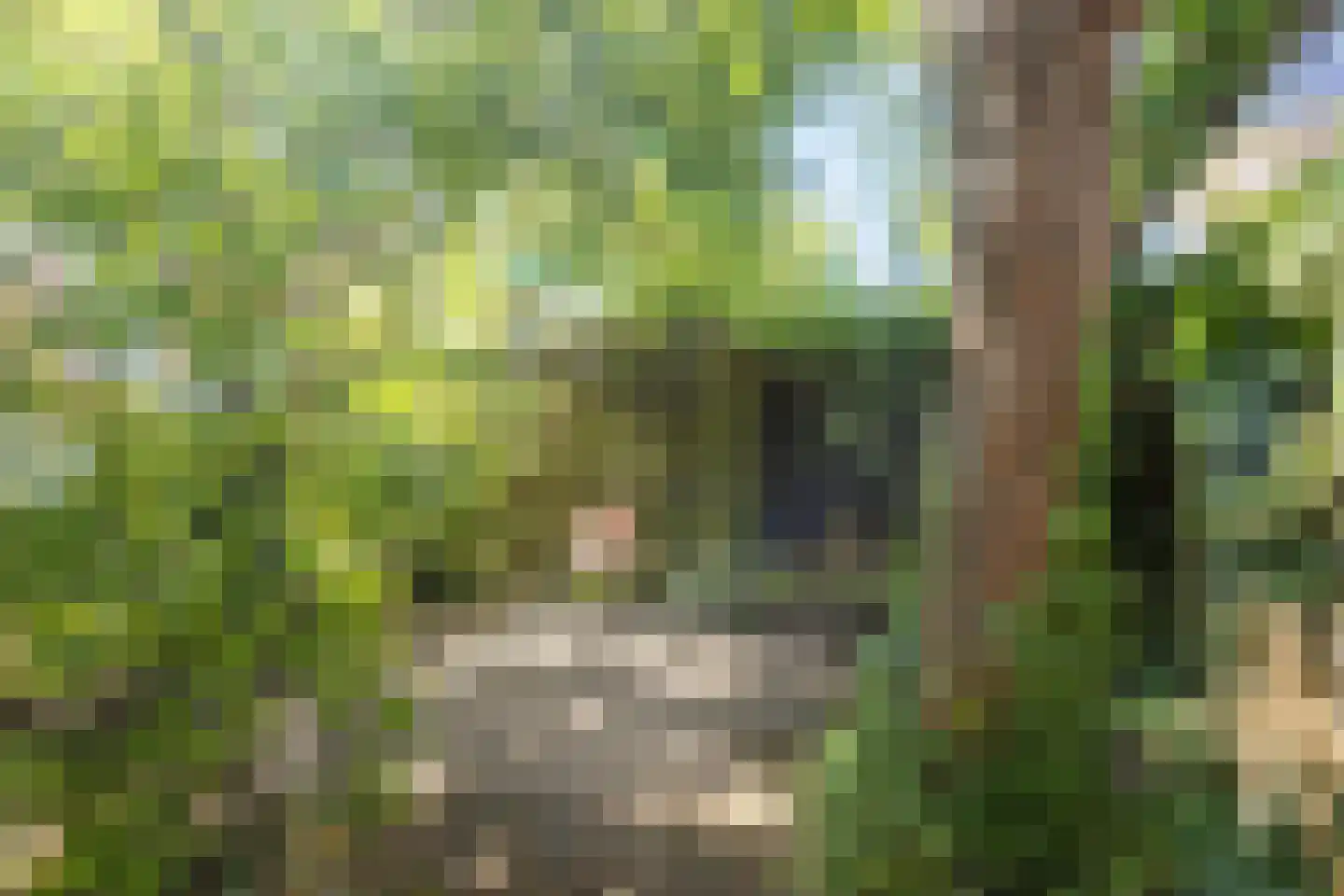 Oude Polderstraat 1 A Hulst thumbnail 35