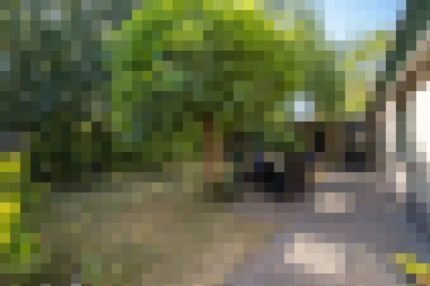 Oude Polderstraat 1 A Hulst thumbnail 36