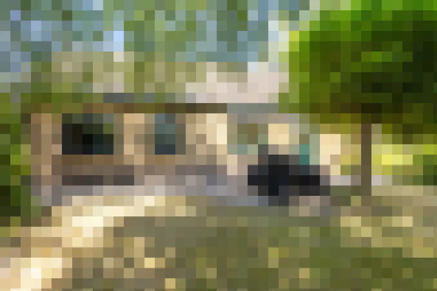 Oude Polderstraat 1 A Hulst thumbnail 38