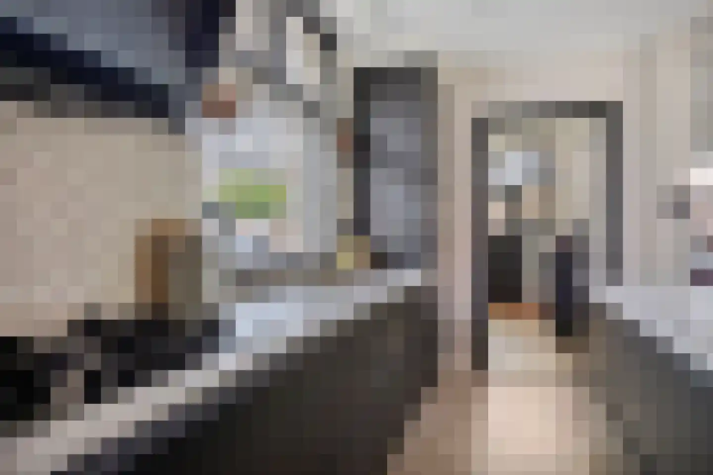 Oude Polderstraat 13 Hansweert thumbnail 10