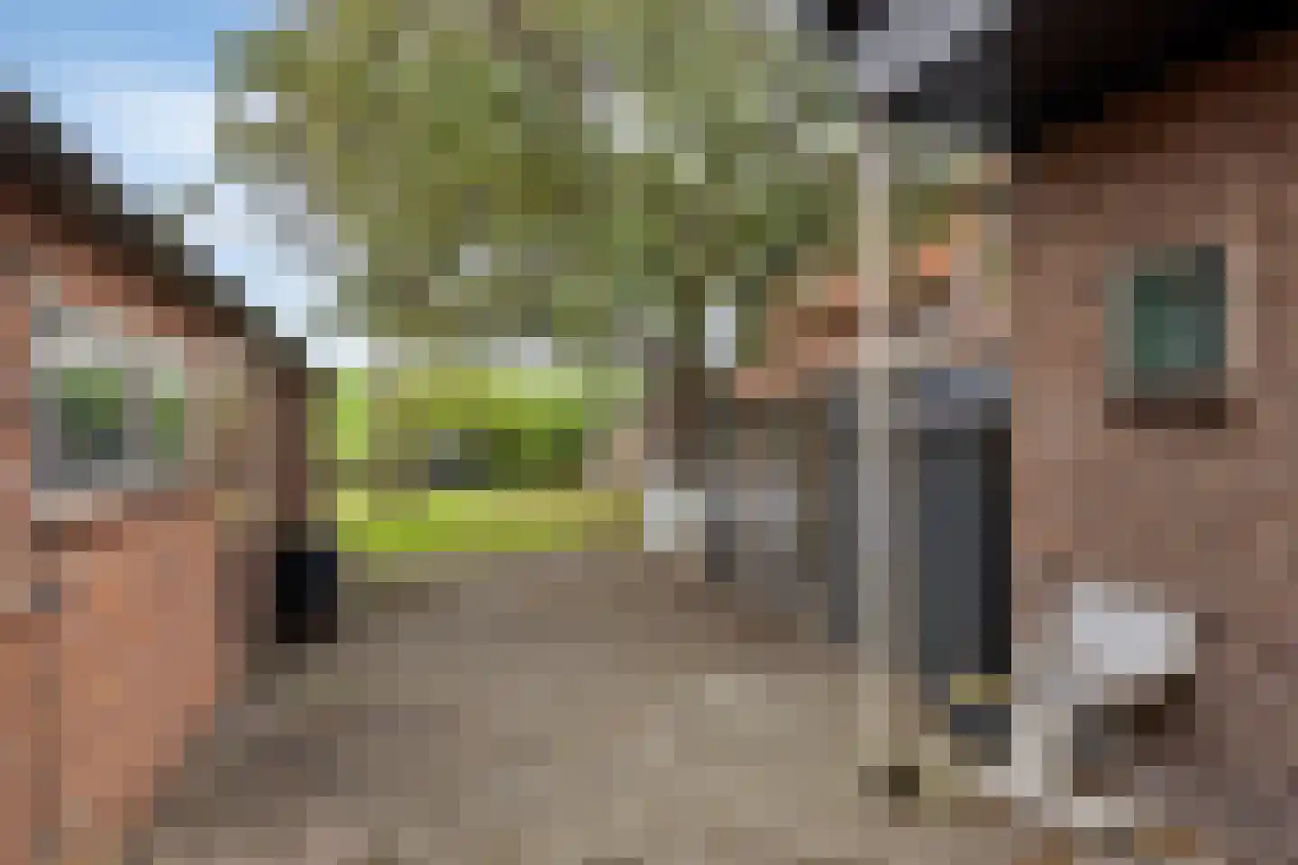 Oude Polderstraat 13 Hansweert thumbnail 26
