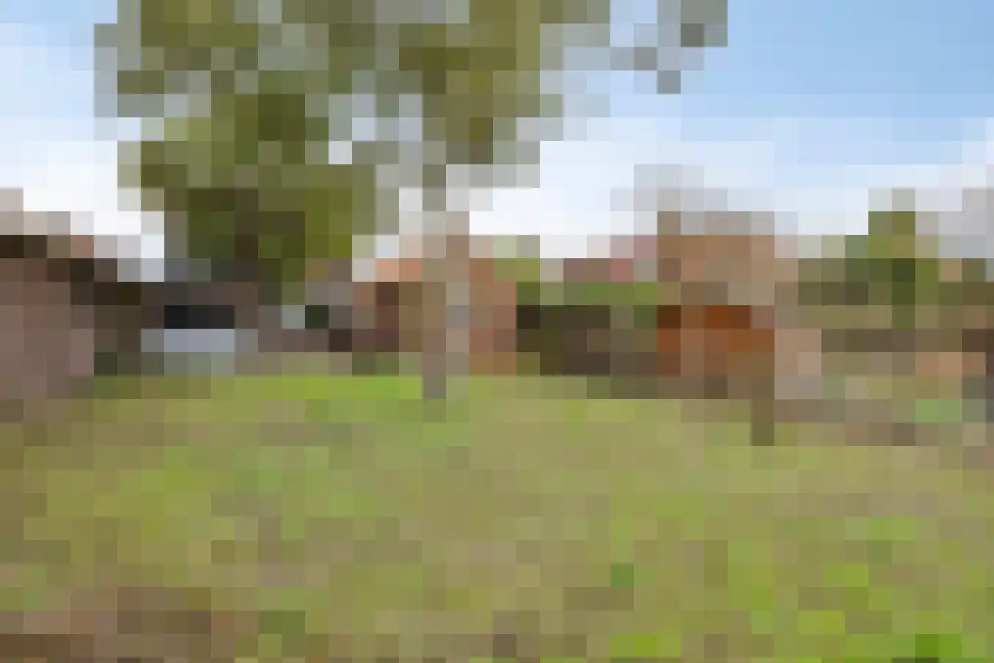 Oude Polderstraat 13 Hansweert thumbnail 31