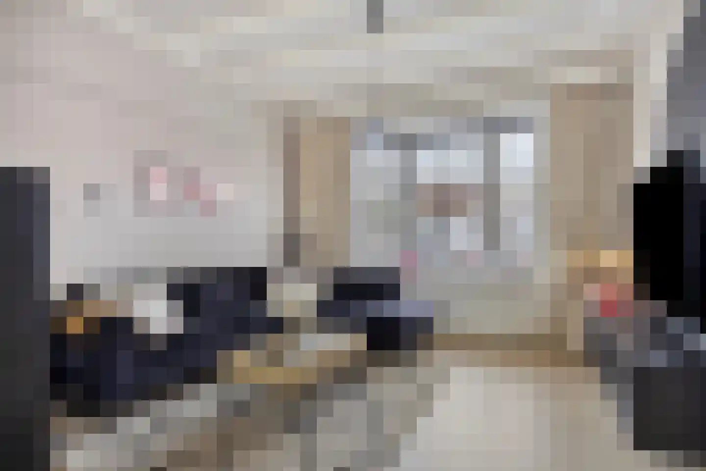 Oude Polderstraat 13 Hansweert thumbnail 4