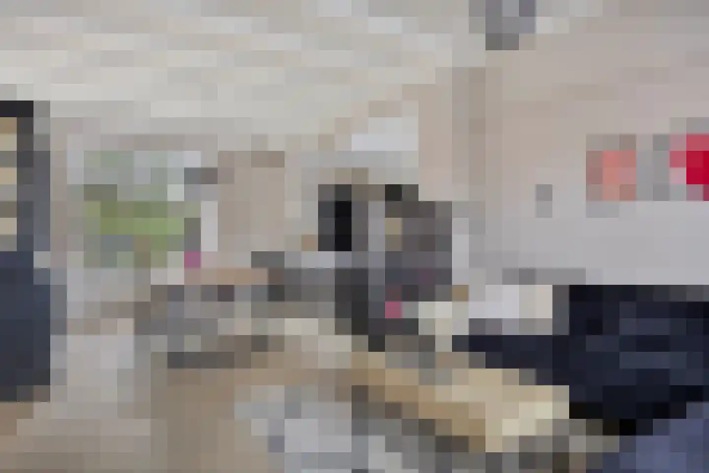 Oude Polderstraat 13 Hansweert thumbnail 5