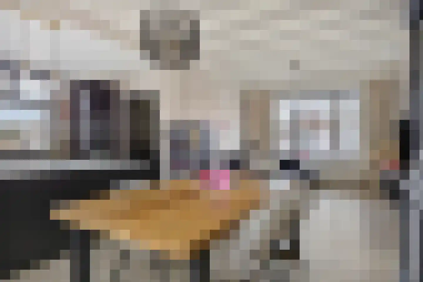 Oude Polderstraat 13 Hansweert thumbnail 8