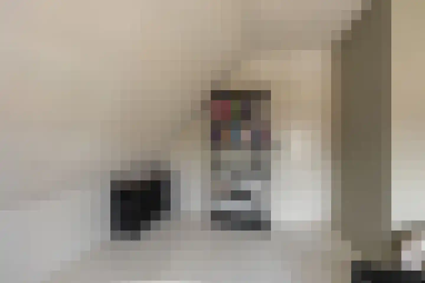 Oude Polderstraat 19 Hansweert thumbnail 37