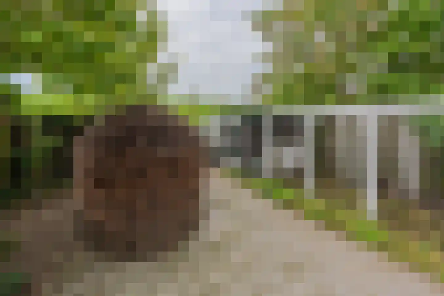 Oude Polderstraat 19 Hansweert thumbnail 45