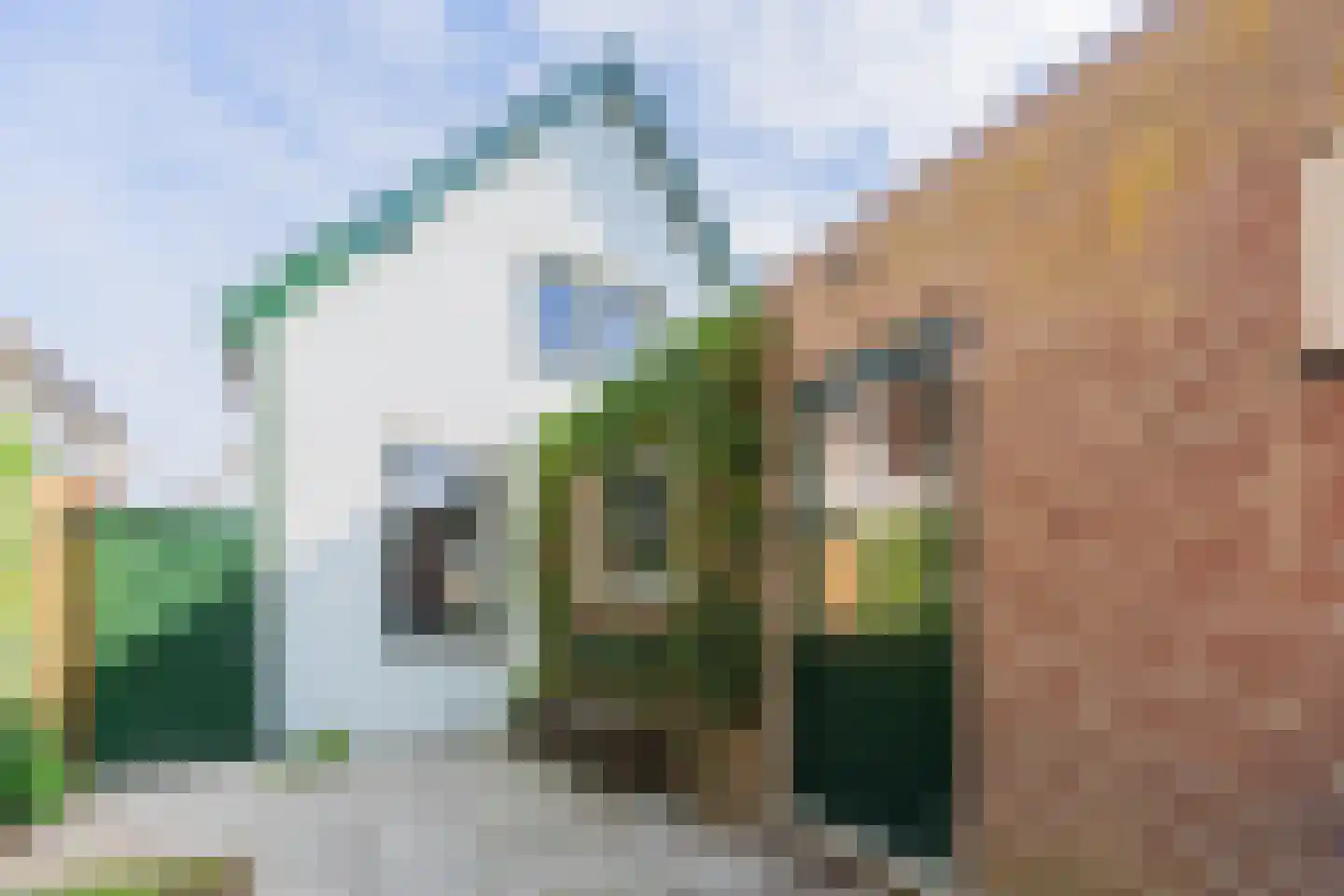 Oude Polderstraat 19 Hansweert thumbnail 51