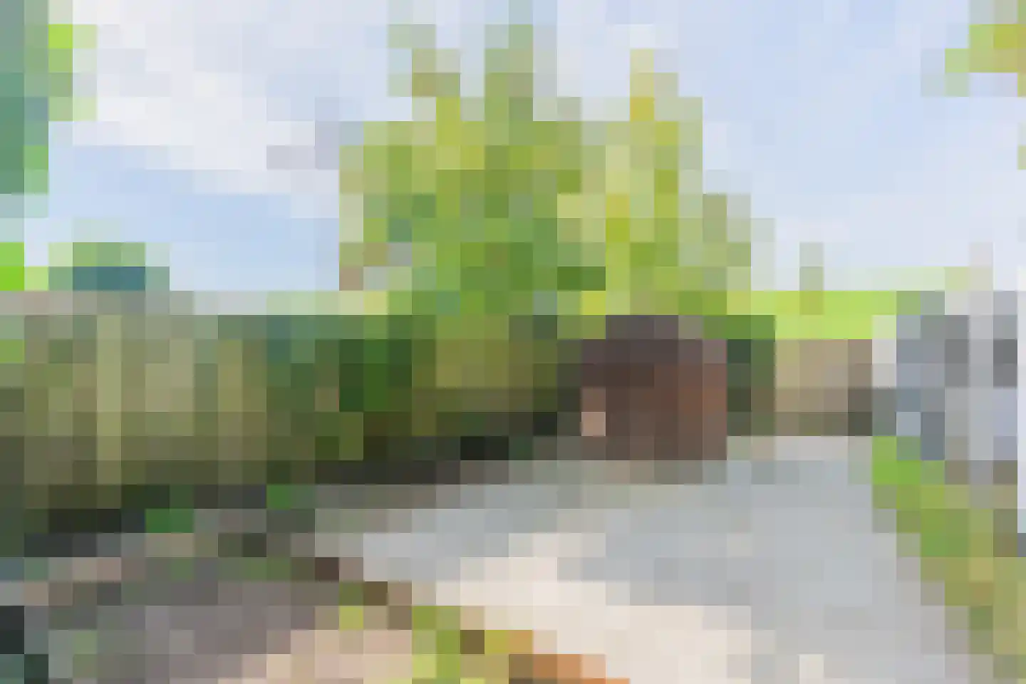 Oude Polderstraat 19 Hansweert thumbnail 53