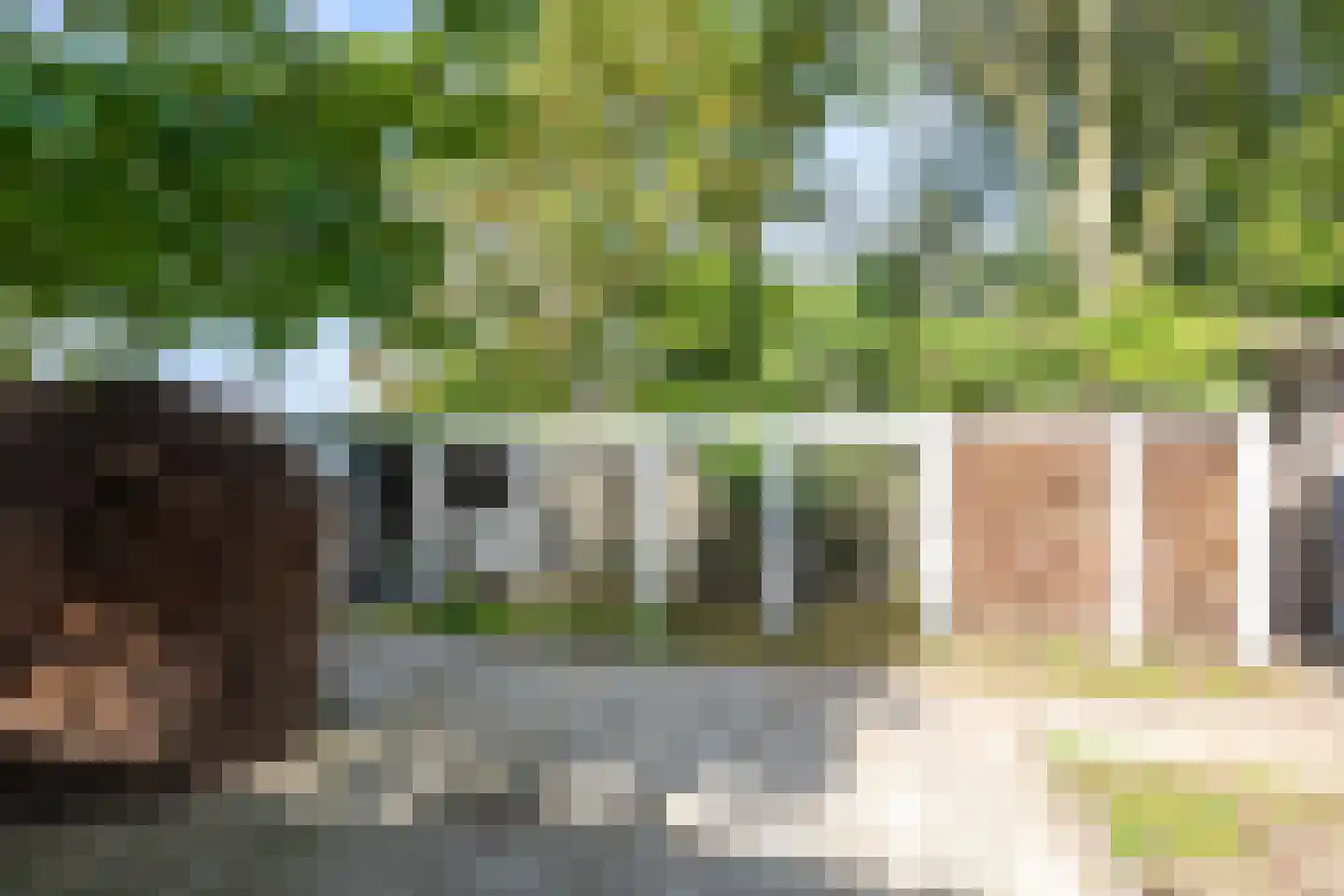 Oude Polderstraat 19 Hansweert thumbnail 54