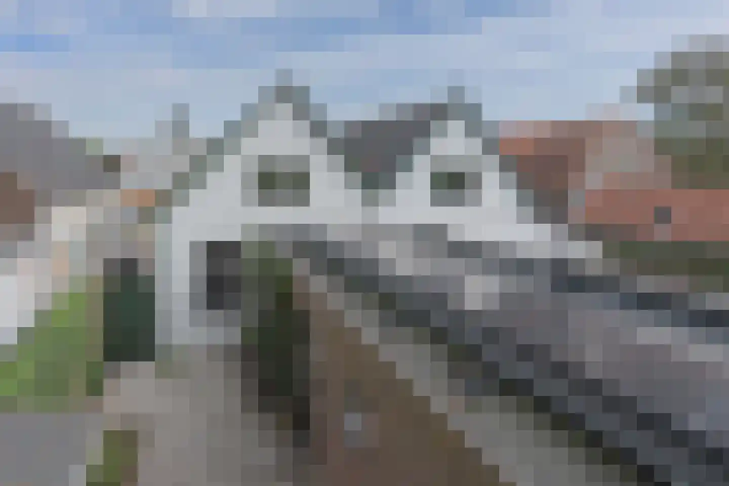Oude Polderstraat 19 Hansweert thumbnail 56