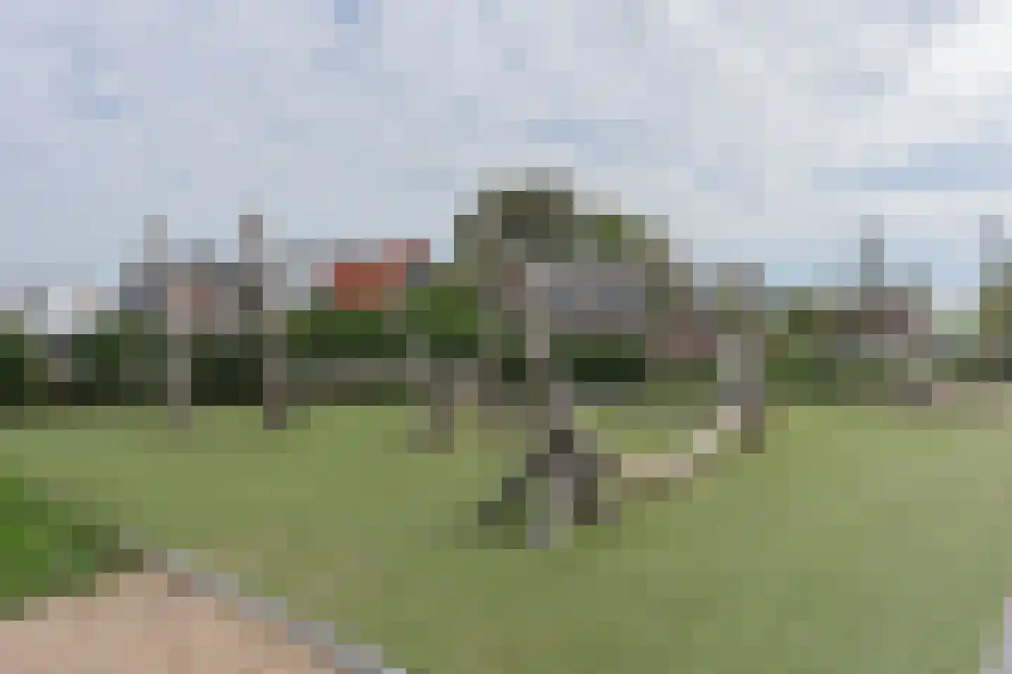 Oude Polderstraat 19 Hansweert thumbnail 69