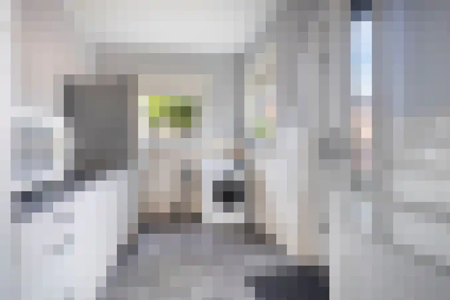 Oude Polderstraat 21 Hulst thumbnail 14
