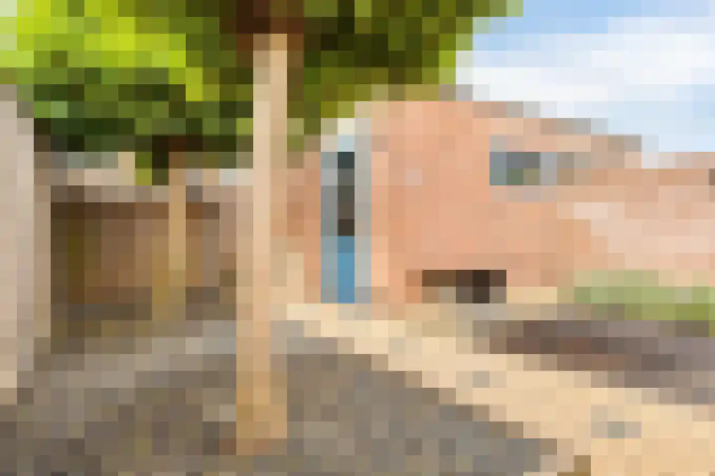 Oude Polderstraat 21 Hulst thumbnail 4