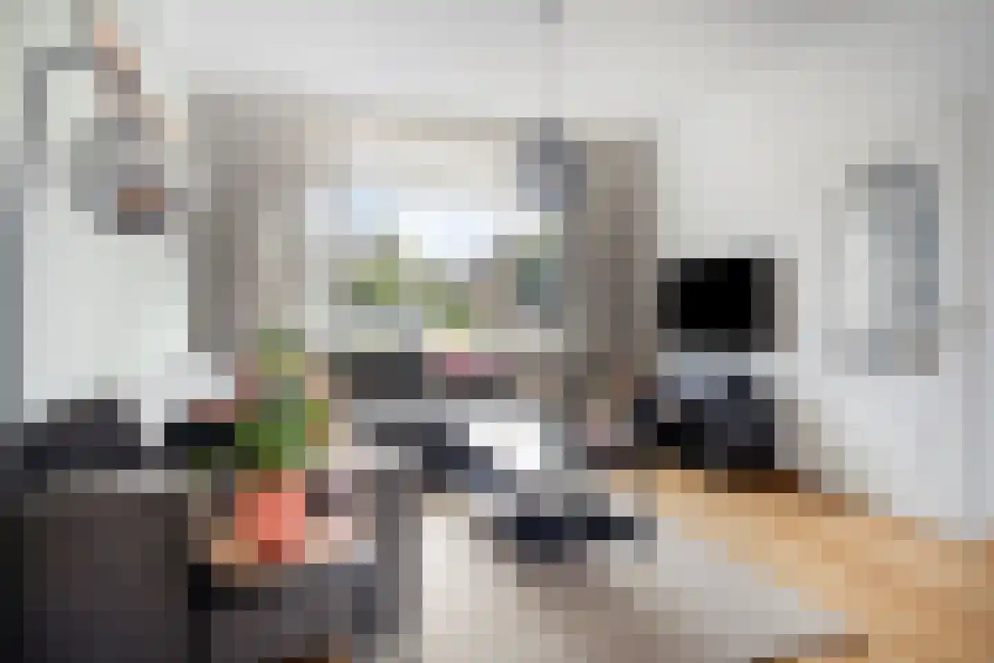 Oude Polderstraat 21 Hulst thumbnail 5