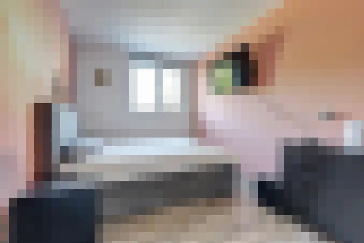 Oude Polderstraat 33 Hansweert thumbnail 15
