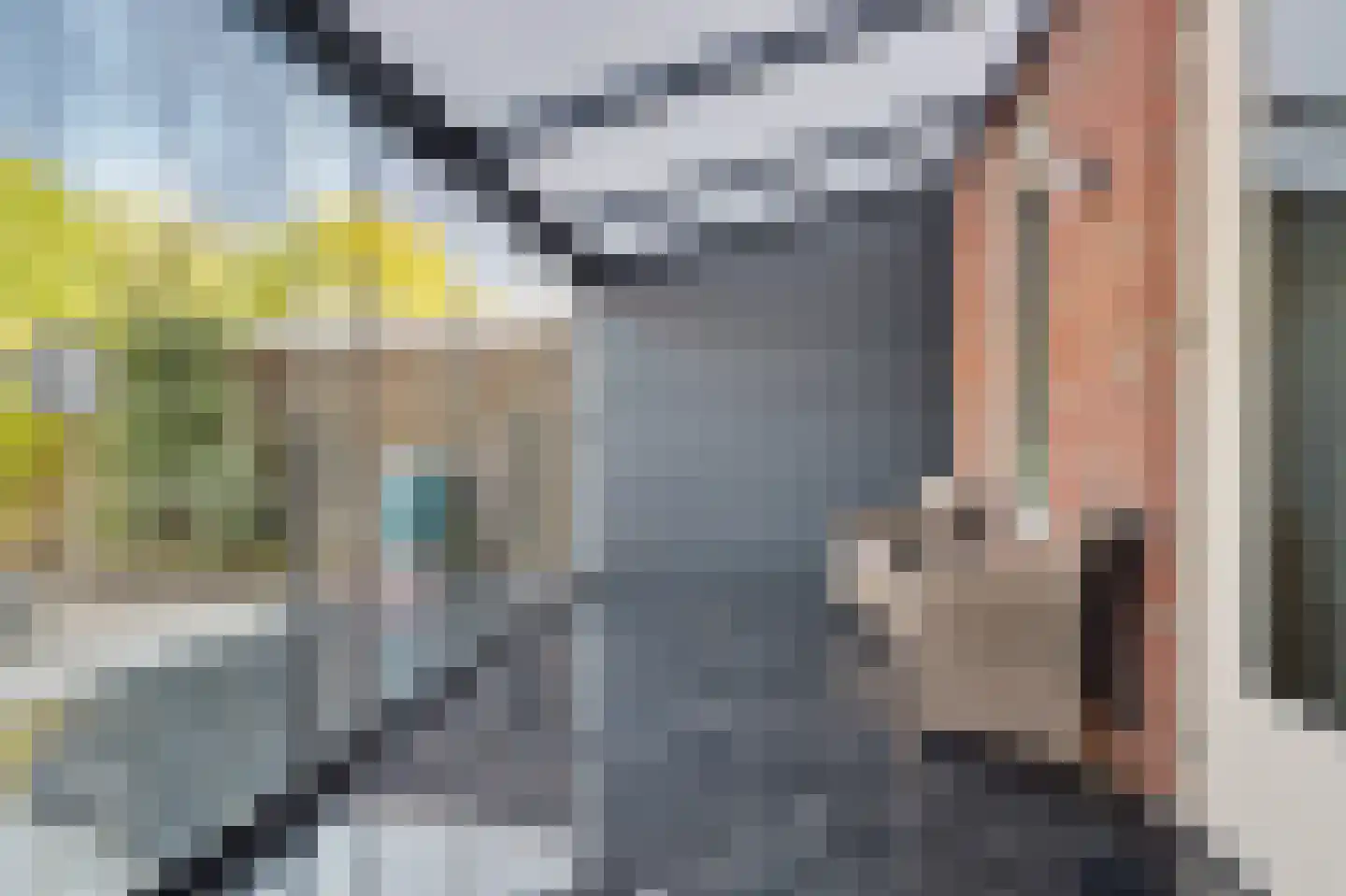 Oude Polderstraat 33 Hansweert thumbnail 24