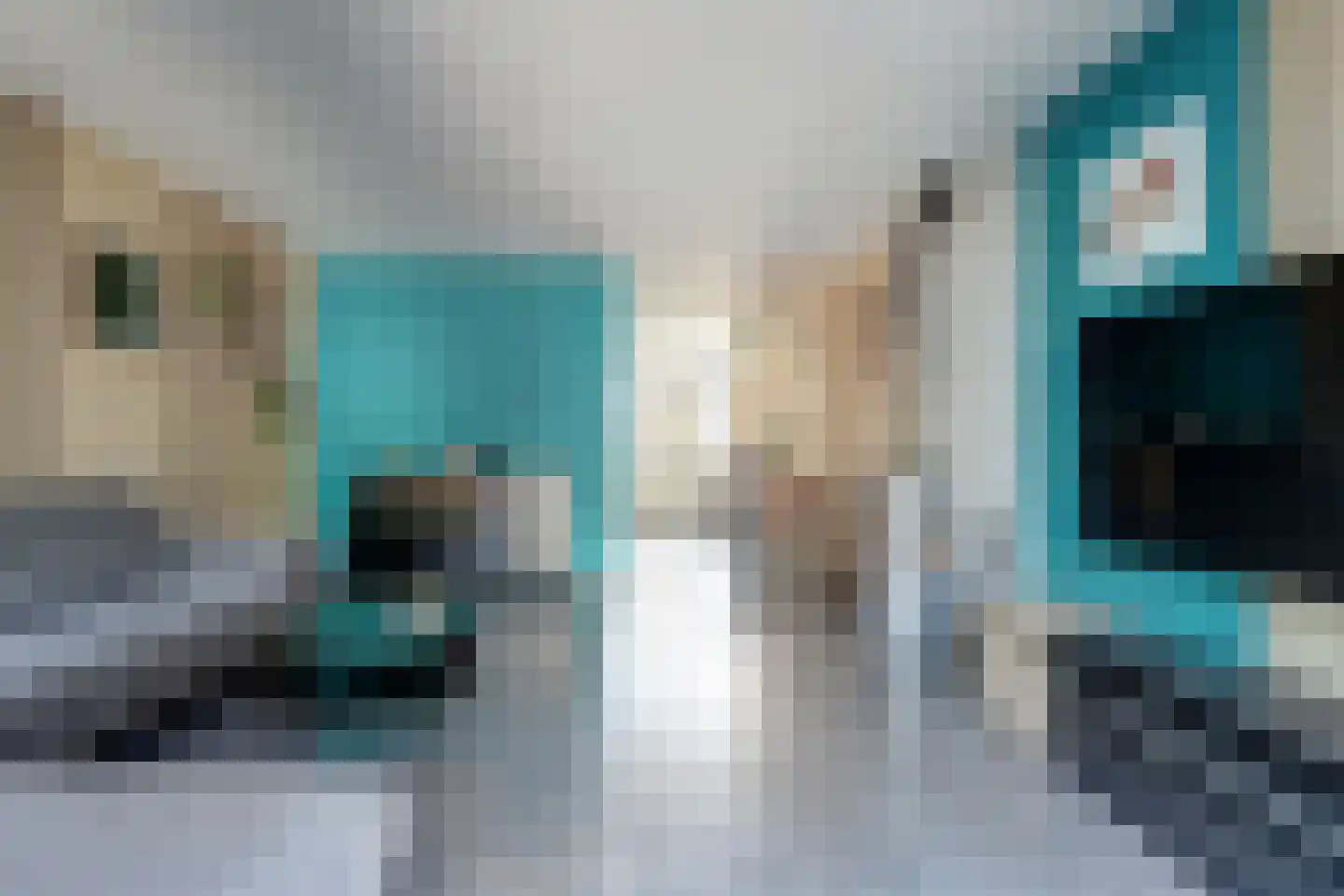 Oude Polderstraat 33 Hansweert thumbnail 9