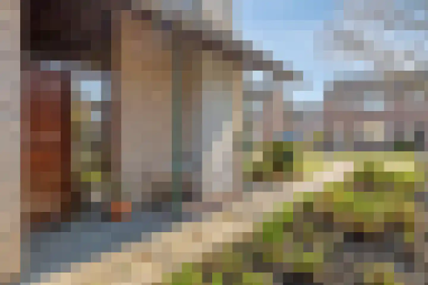 Oude Polderstraat 48 Hulst thumbnail 12