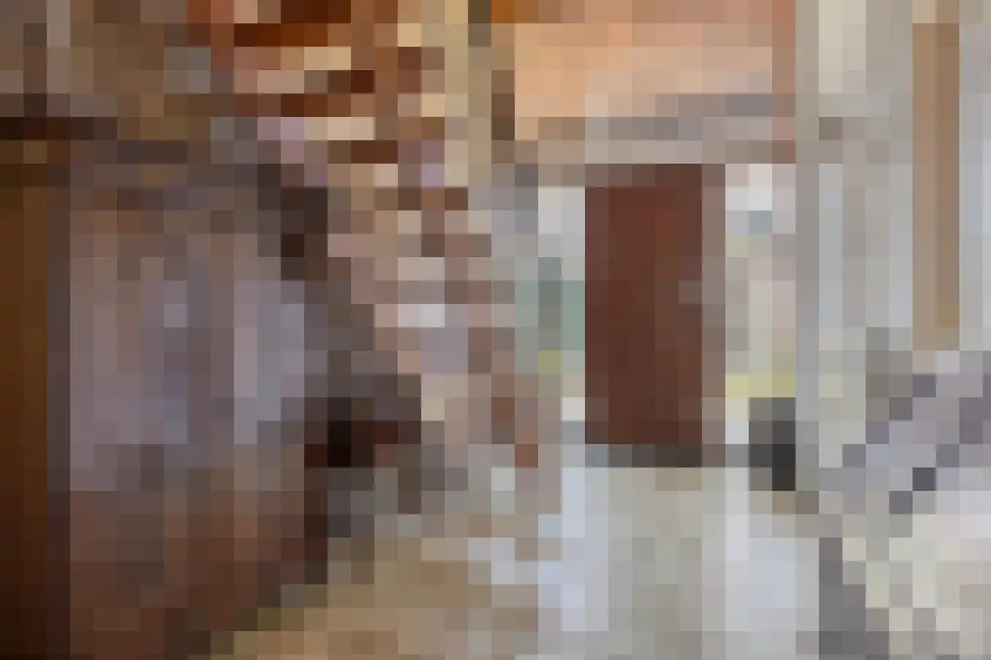 Oude Polderstraat 48 Hulst thumbnail 14